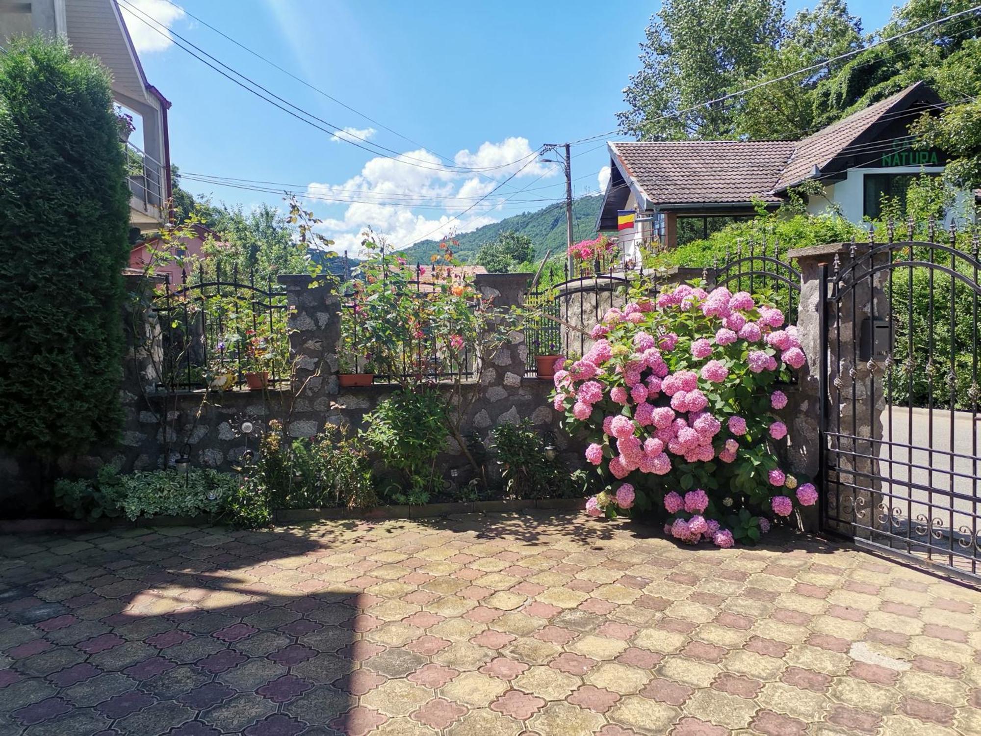 Vila Ana เบยเล เฮร์คูลาเน ภายนอก รูปภาพ